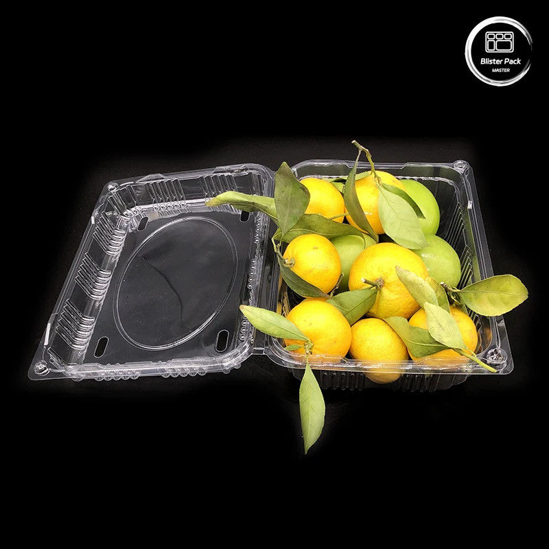 Envases de plástico ondulado para frutas y verduras Contenedores de almacenamiento Cajas de envío resistentes reutilizables