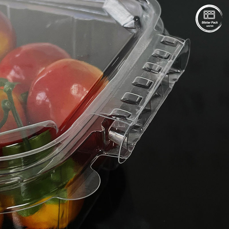 Contenedores de ensalada ecológicos de 16 y 24 oz con tapas unidos desechables para productos frescos