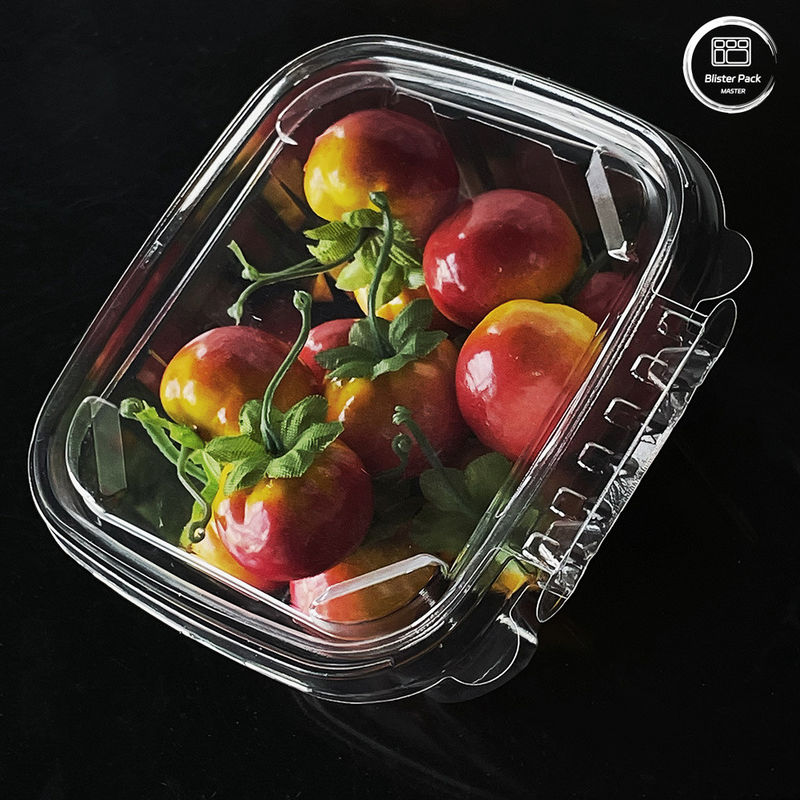 Contenedores de ensalada ecológicos de 16 y 24 oz con tapas unidos desechables para productos frescos