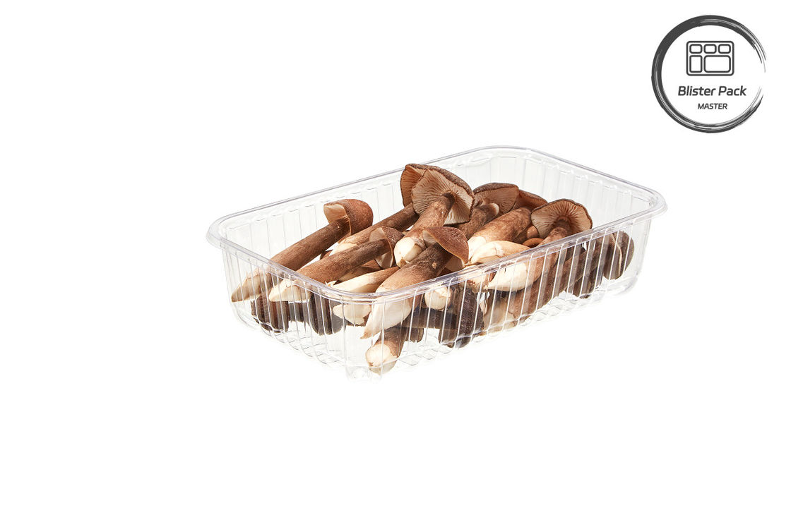 Envases de plástico desechables para hongos, ampollas, frutas y verduras