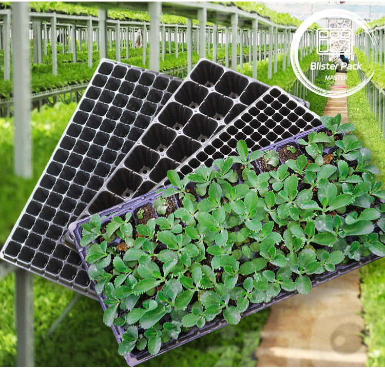 Tableros de germinación de semillas multicelulares duraderos de 21 a 128 células para vegetales y flores