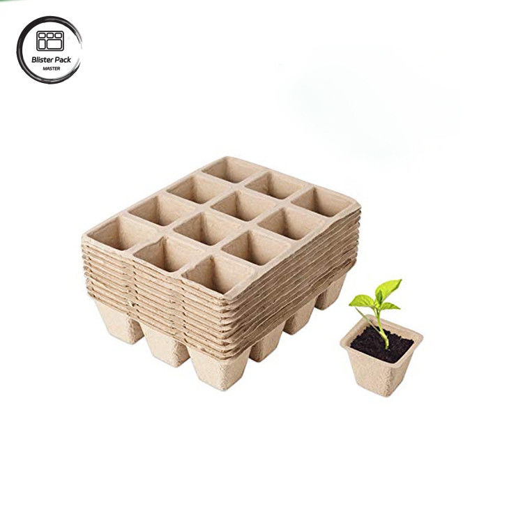 En el caso de las plantas de caña de azúcar biodegradables, se utilizará un kit de iniciación para la plantación de semillas.