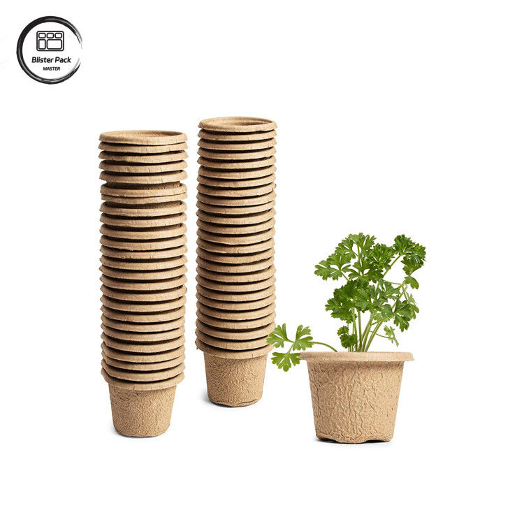 En el caso de las plantas de caña de azúcar biodegradables, se utilizará un kit de iniciación para la plantación de semillas.