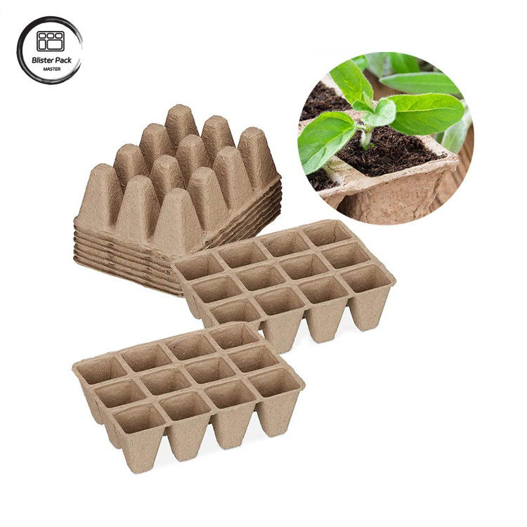 En el caso de las plantas de caña de azúcar biodegradables, se utilizará un kit de iniciación para la plantación de semillas.
