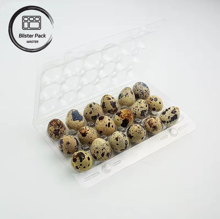 Envases de cartón de huevo personalizados de varios tamaños (4, 6, 12, 15, 20, 30 ranuras) para un embalaje eficiente de huevos