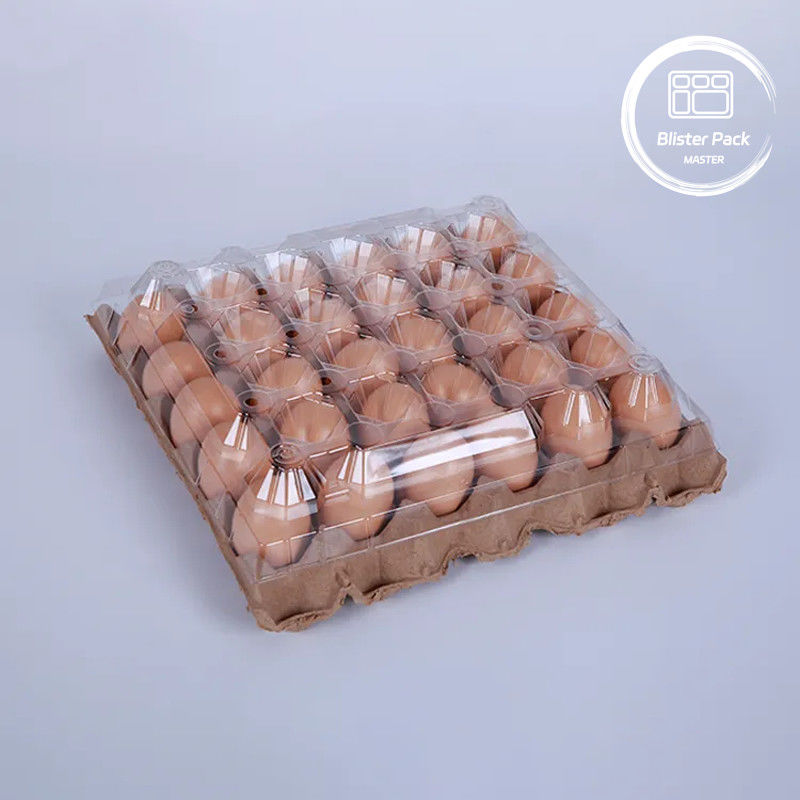 Embalaje de bandeja de huevo de plástico PET 30 cajas de cartón con agujeros en tamaños S/M/L con fondo de papel