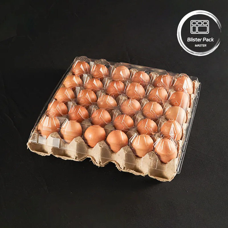 20/24/30 Celular PET Placa de ampollas de huevo de plástico transparente Embalaje de huevo de gallina de codorniz desechable con tapa
