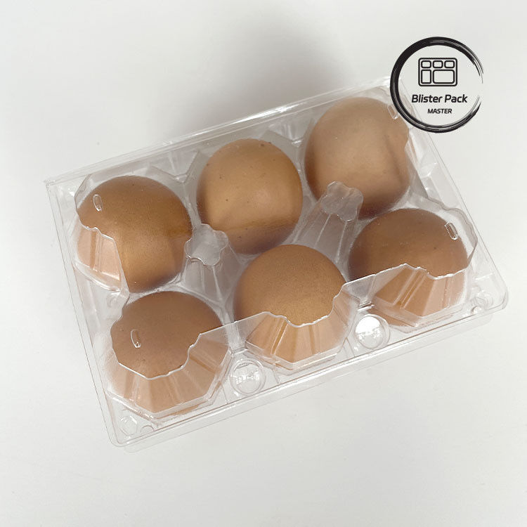 6 Embalaje de cajas de huevo de plástico Cajas de embalaje de huevos duraderas para un almacenamiento seguro