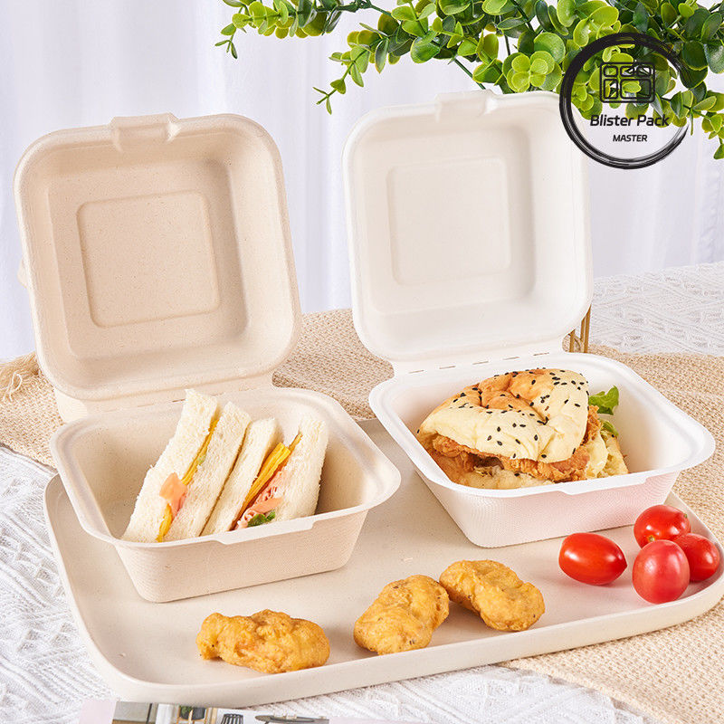 9 pulgadas de caña de azúcar Bagasse Clamshell Lunch Box Contenedor de alimentos desechables y biodegradables para hamburguesas y panadería