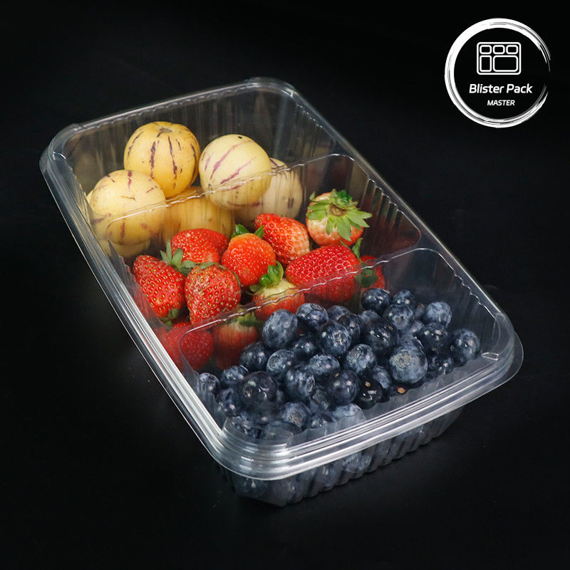 Ensalada de frutas de primera calidad Ensalada de frutas Plato de ensalada de plástico transparente Envasado de ensalada bandeja para frescura