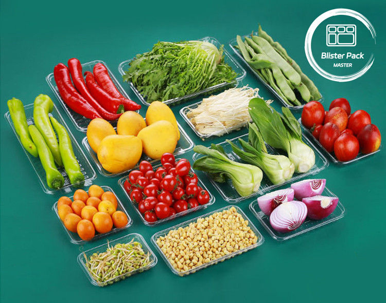 Envases desechables de PET para alimentos, frutas y verduras, para su almacenamiento seguro y fresco