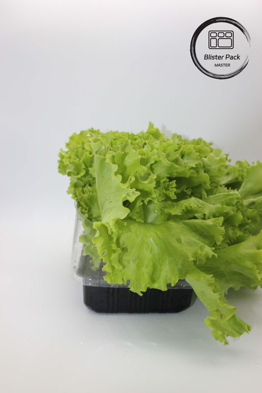 Jardines artificiales de frutas y verduras bandejas de plástico perfectas para la decoración