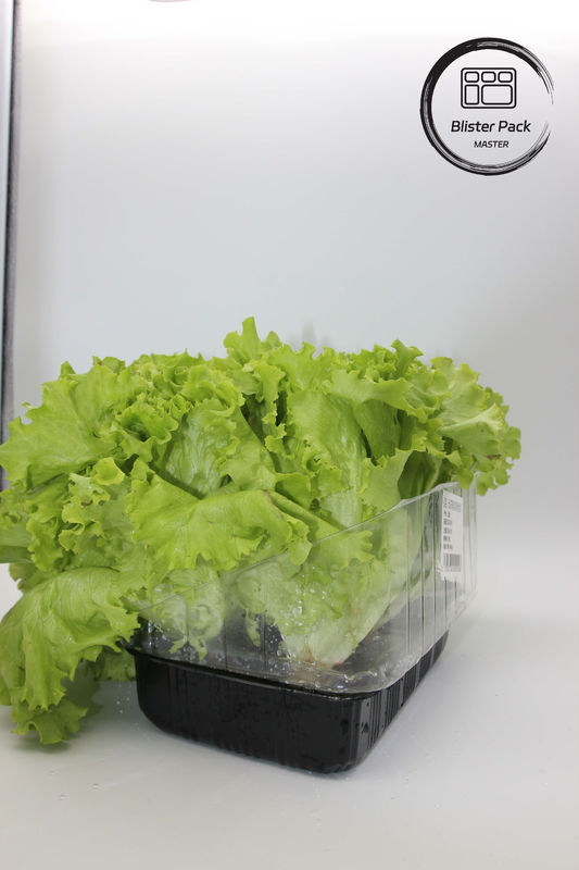 Jardines artificiales de frutas y verduras bandejas de plástico perfectas para la decoración