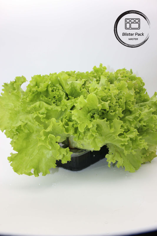 Jardines artificiales de frutas y verduras bandejas de plástico perfectas para la decoración