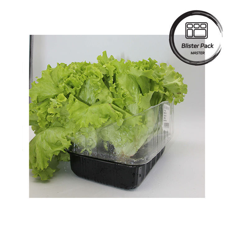 Jardines artificiales de frutas y verduras bandejas de plástico perfectas para la decoración