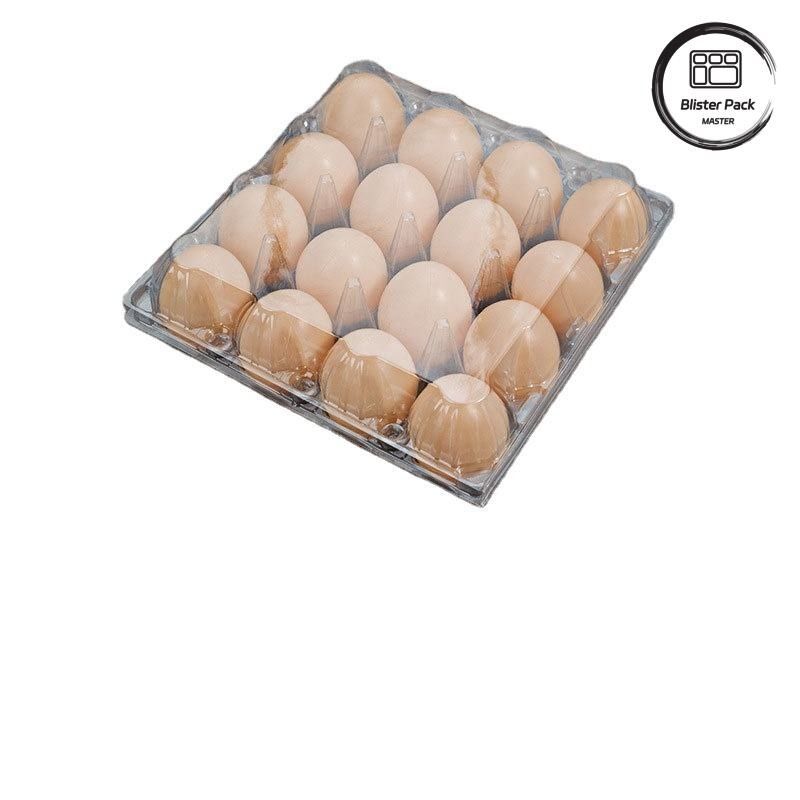 20/24/30 Celular PET Placa de ampollas de huevo de plástico transparente Embalaje de huevo de gallina de codorniz desechable con tapa