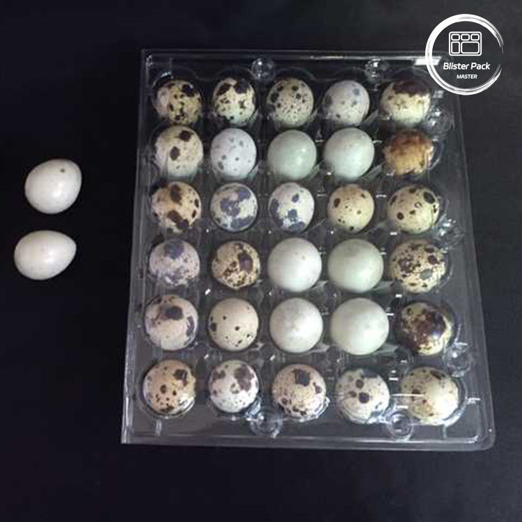 Envases de huevos de codorniz con 30 agujeros