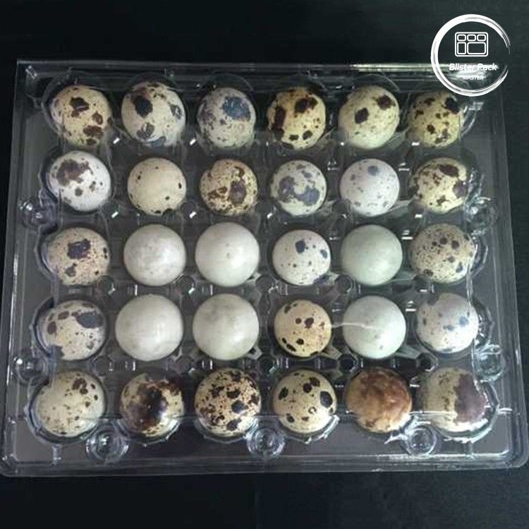 Envases de huevos de codorniz con 30 agujeros