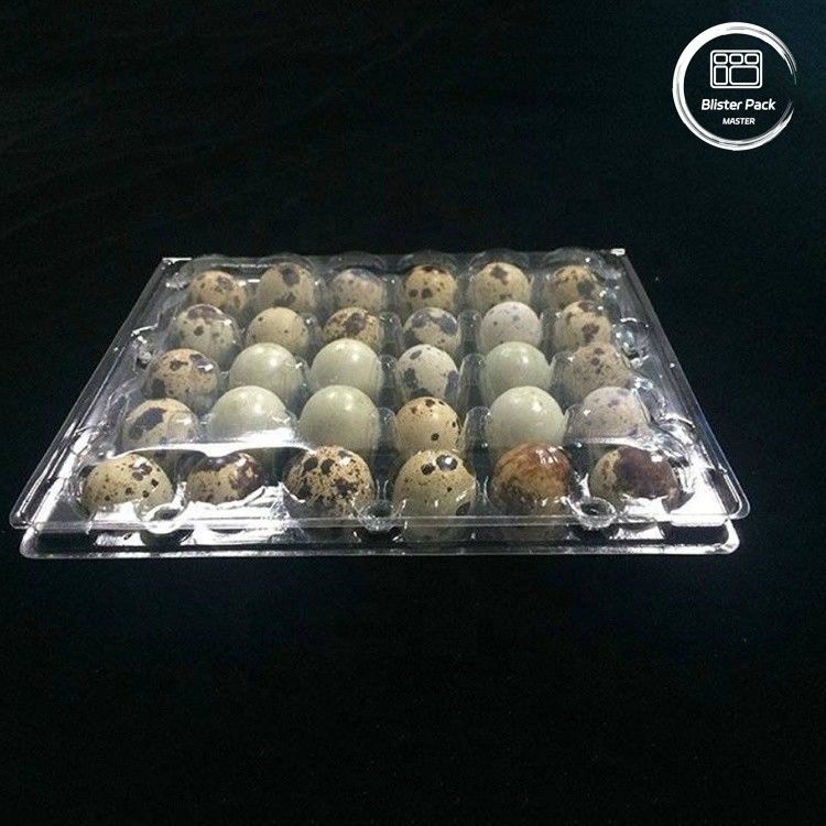 Envases de huevos de codorniz con 30 agujeros