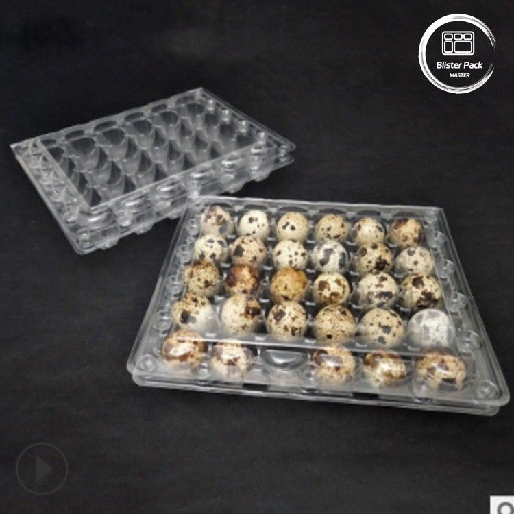 Envases de huevos de codorniz con 30 agujeros