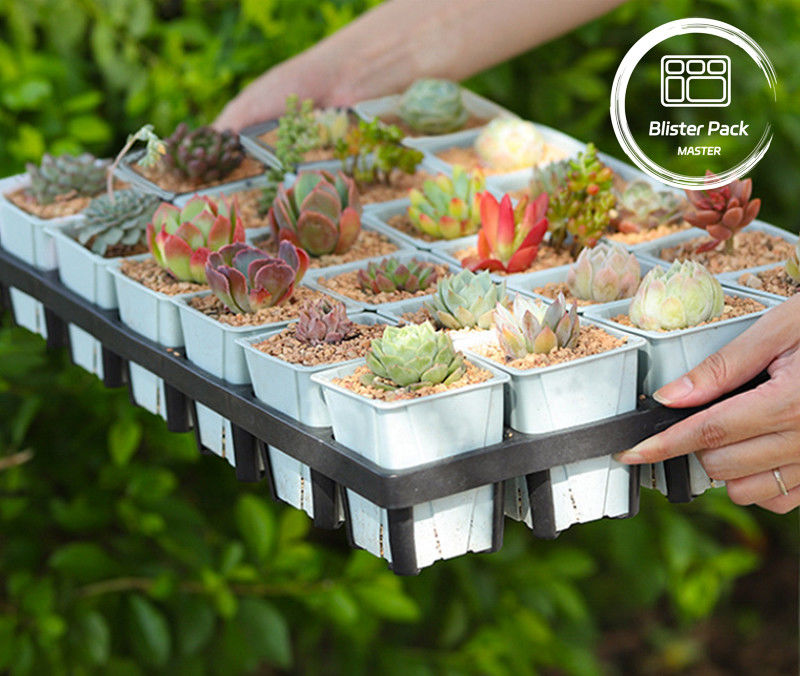 Tablero de plantación de plástico duradero de 24 agujeros de cultivo de macetas suculentas para jardinería