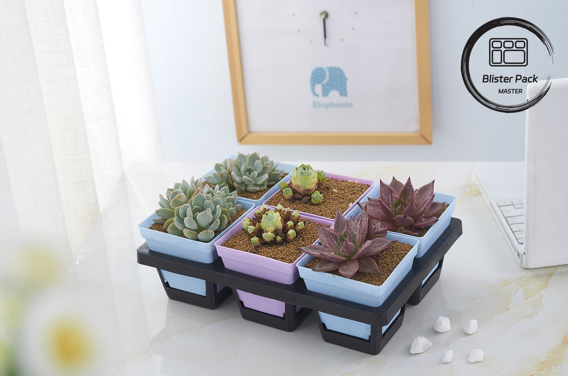 Envases de plástico para semillas de varios tamaños 6, 12, 20, 24, 40 células Durables para la jardinería