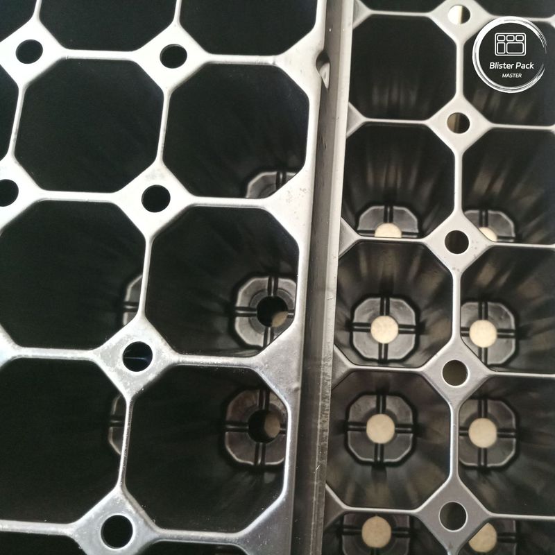 Bolsa de 72 celdas, bandejas de plástico duradero para brotar y propagarse